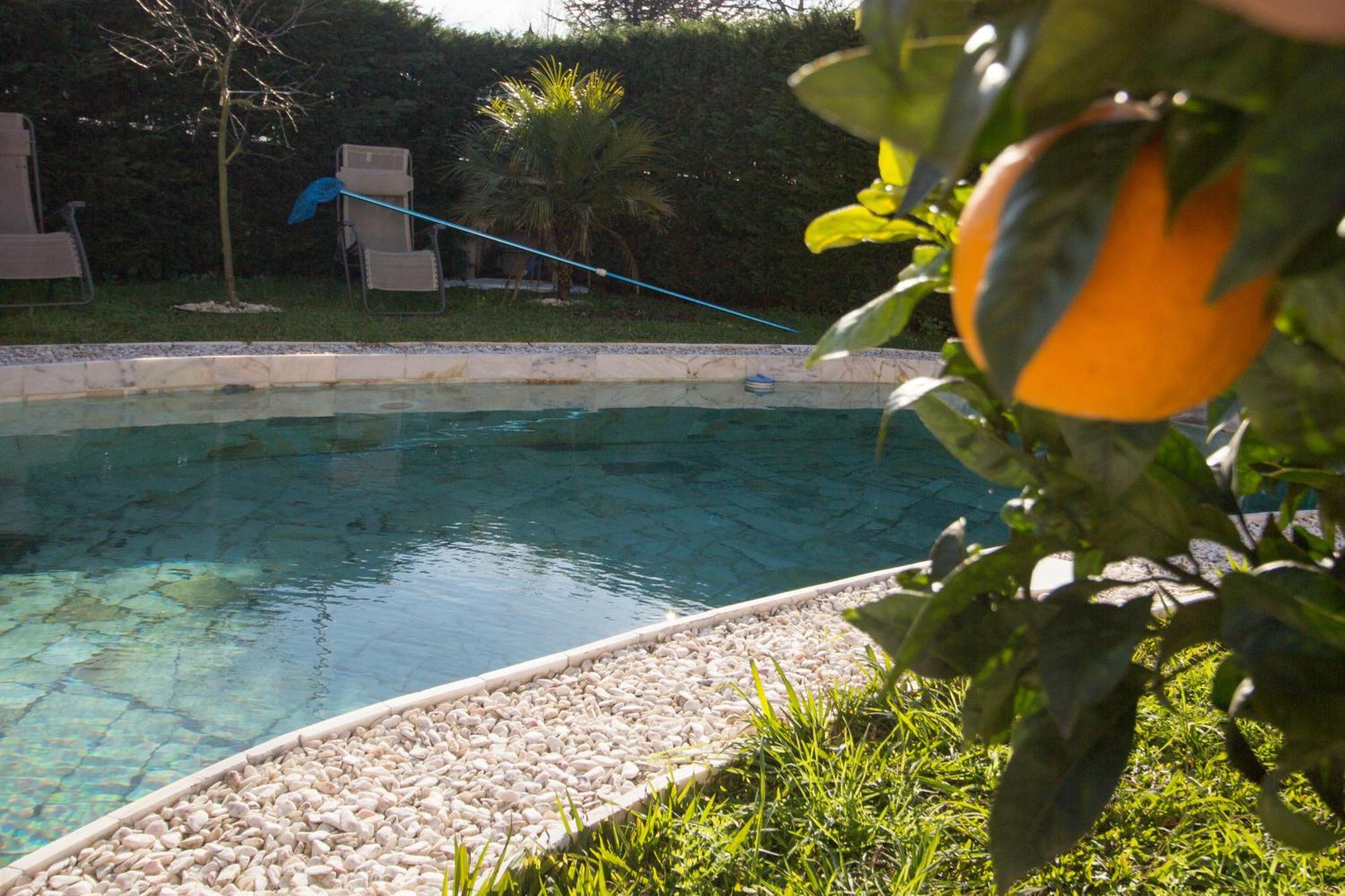 Guest H4U - Villa Garden & Pool Póvoa de Varzim Exterior foto
